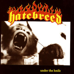 Cover of Under The Knife