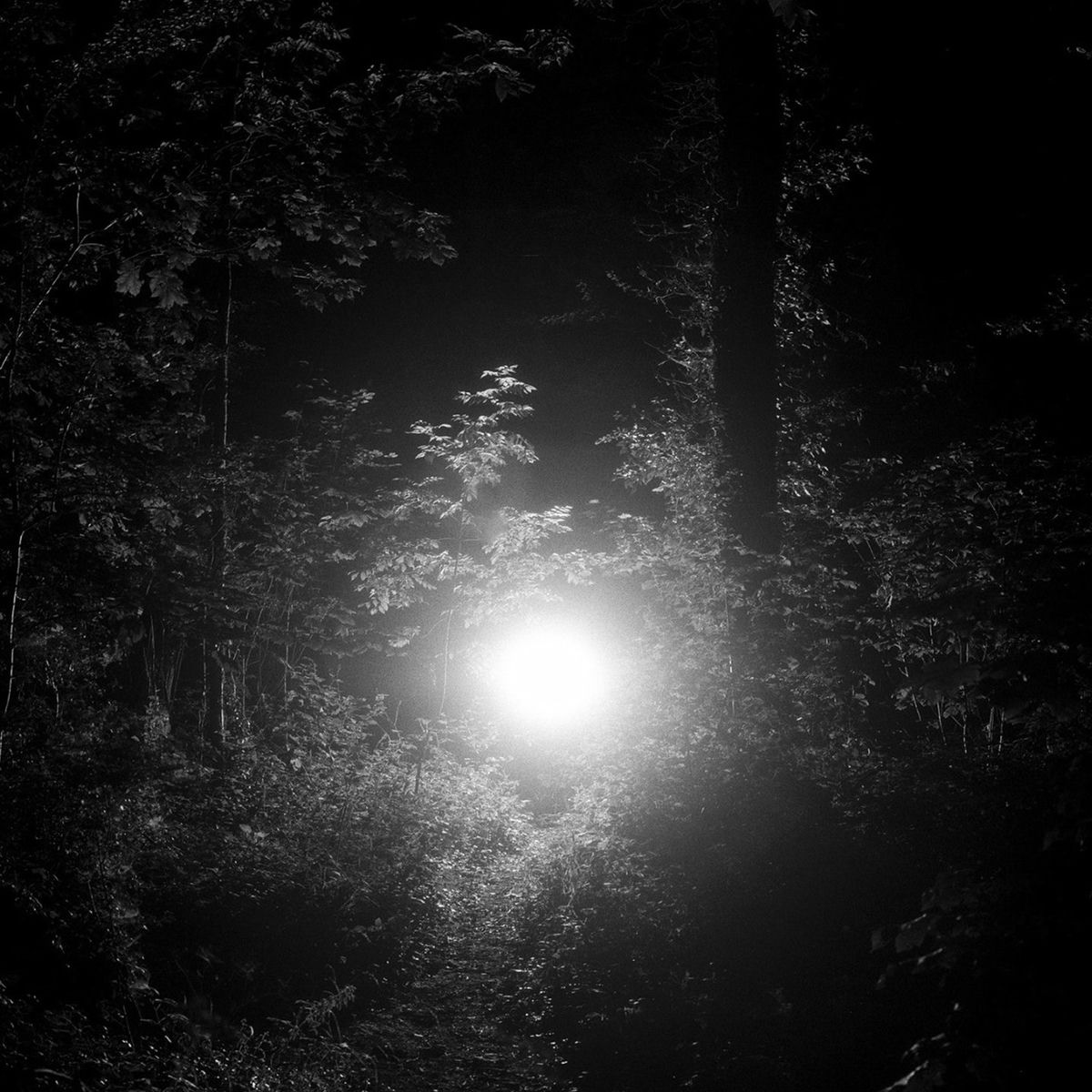 Album cover of Joysville