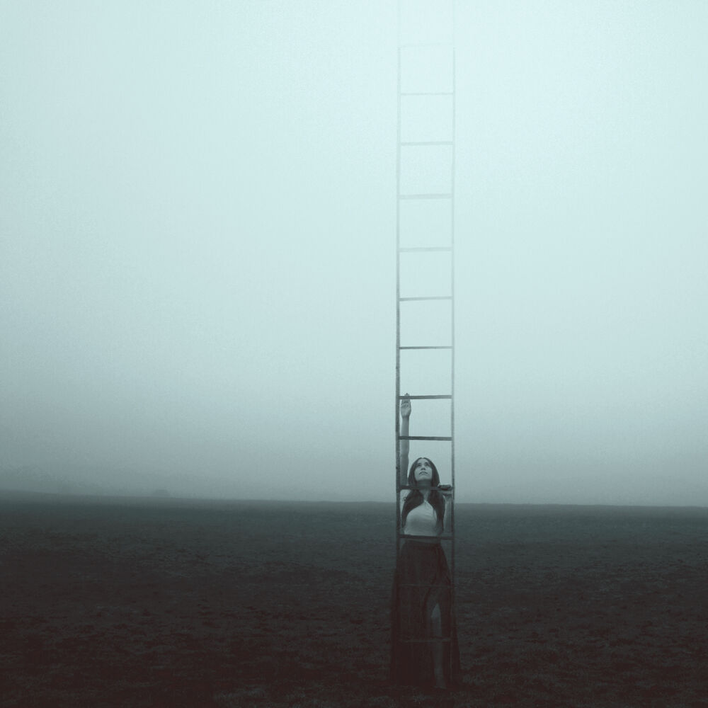 Picture of Higher