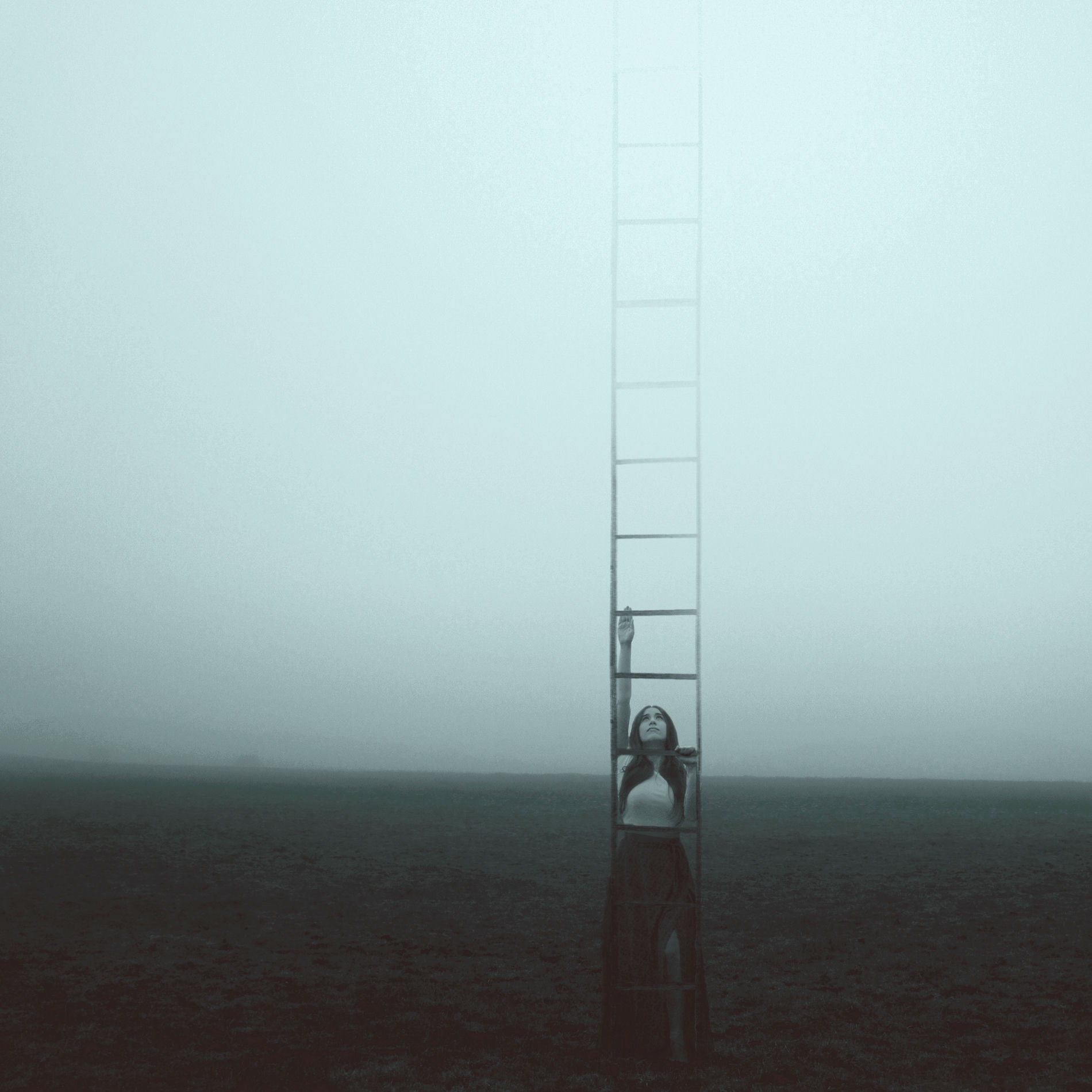 Album cover of Higher