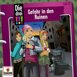 Cover of 071/Gefahr in den Ruinen