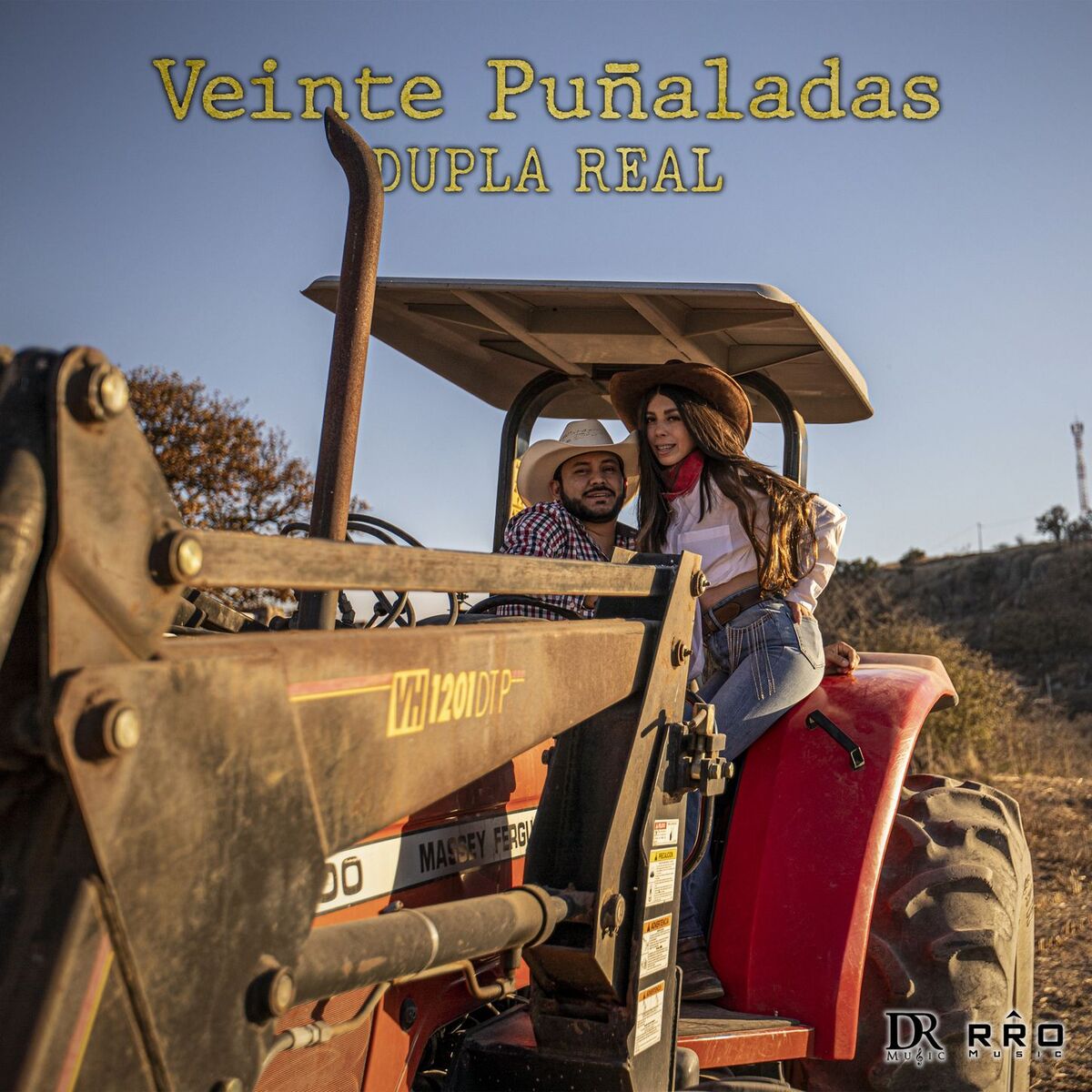 Album cover of Veinte Puñaladas