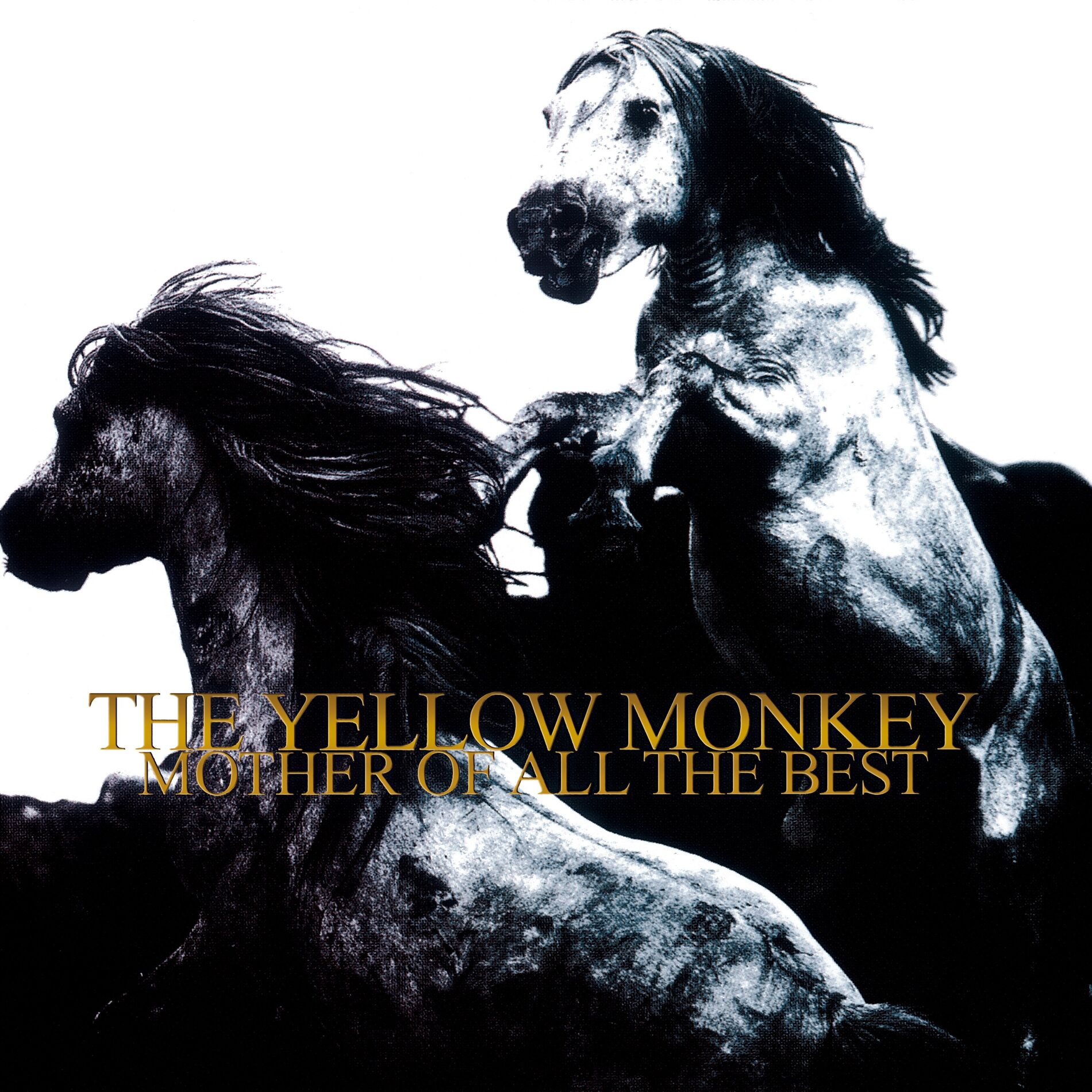 THE YELLOW MONKEY: albums, songs, playlists | Deezer