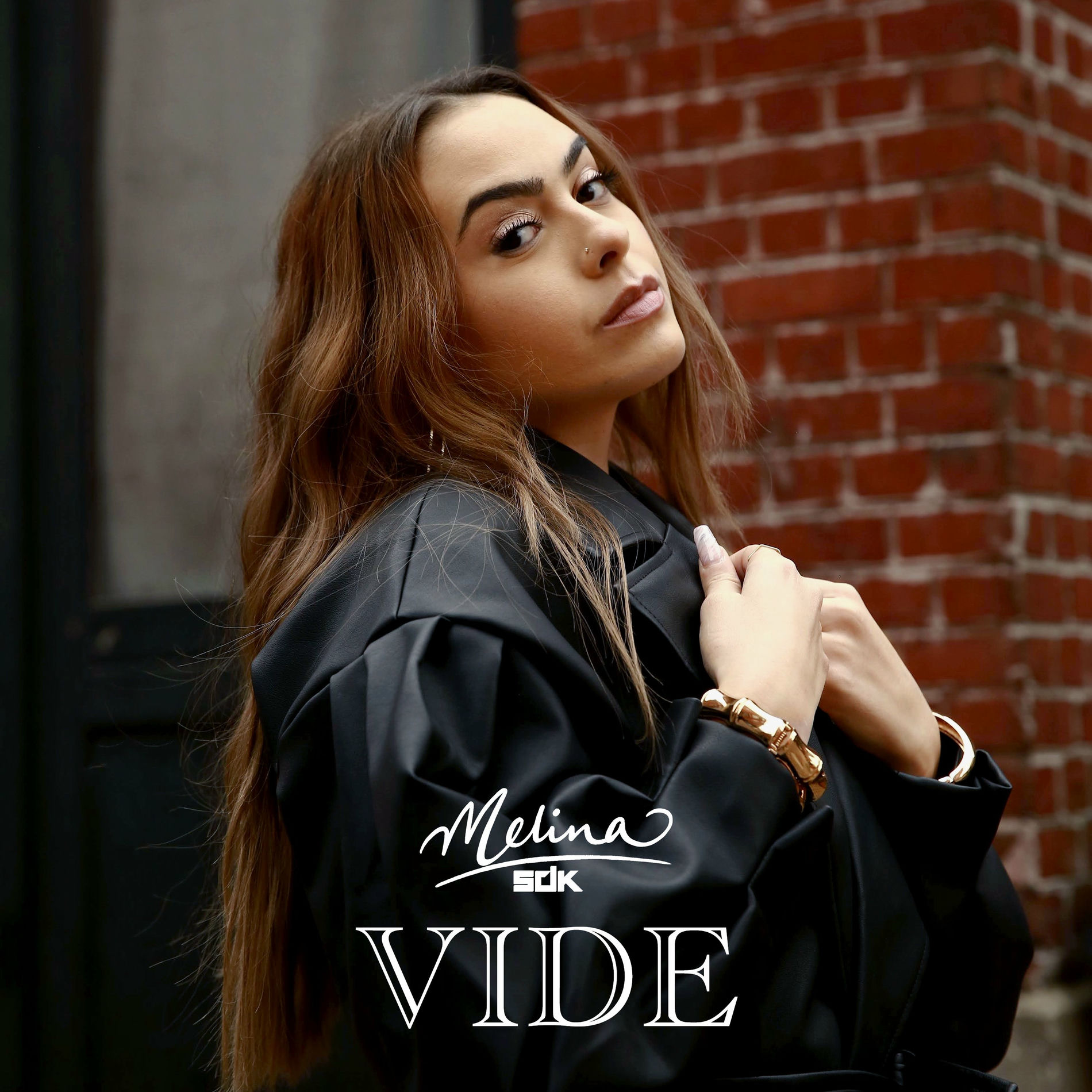 Album cover of VIDE
