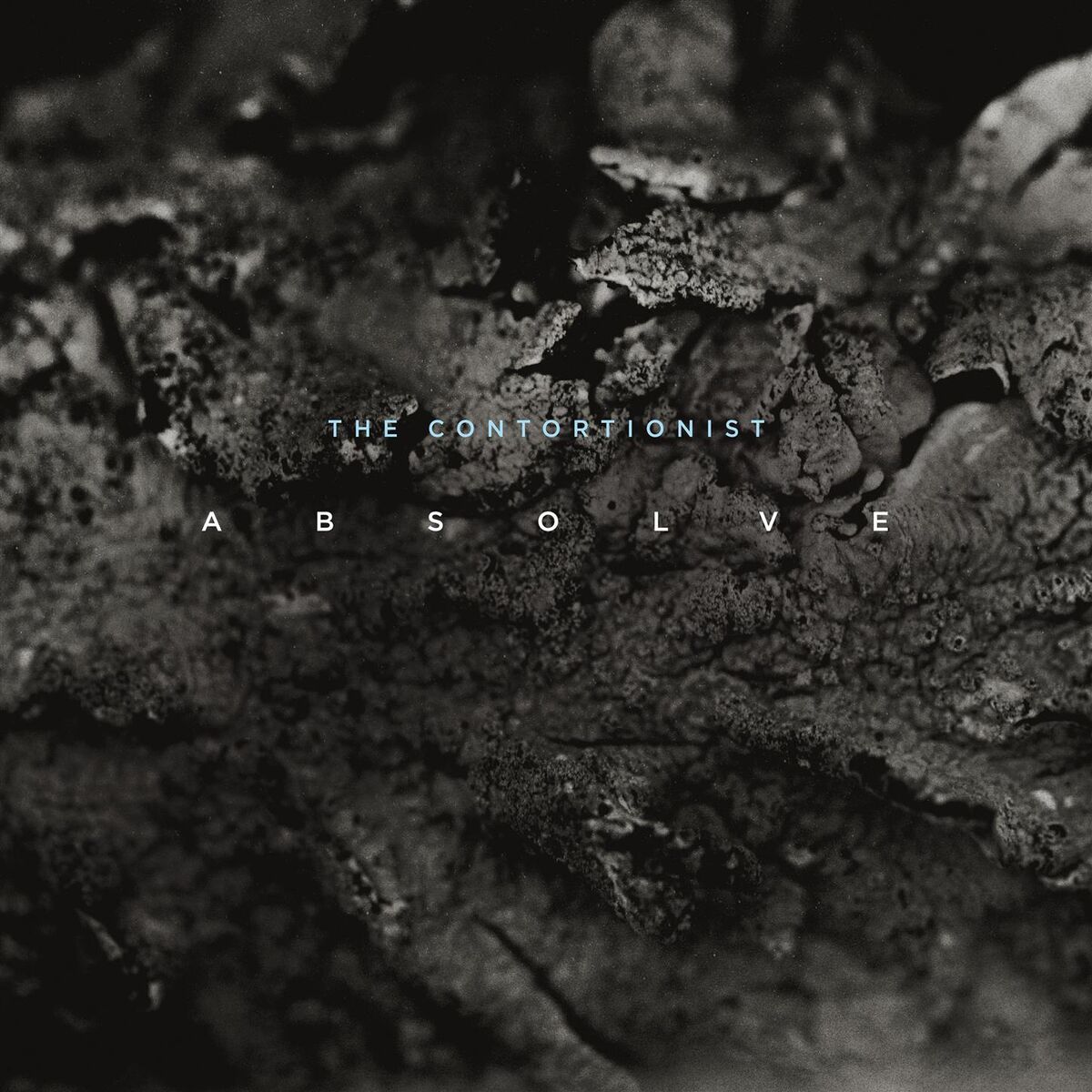 Album cover of Absolve