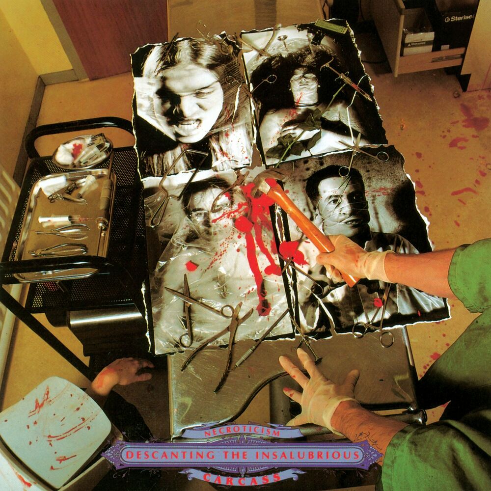 Picture of Necroticism - Descanting the Insalubrious