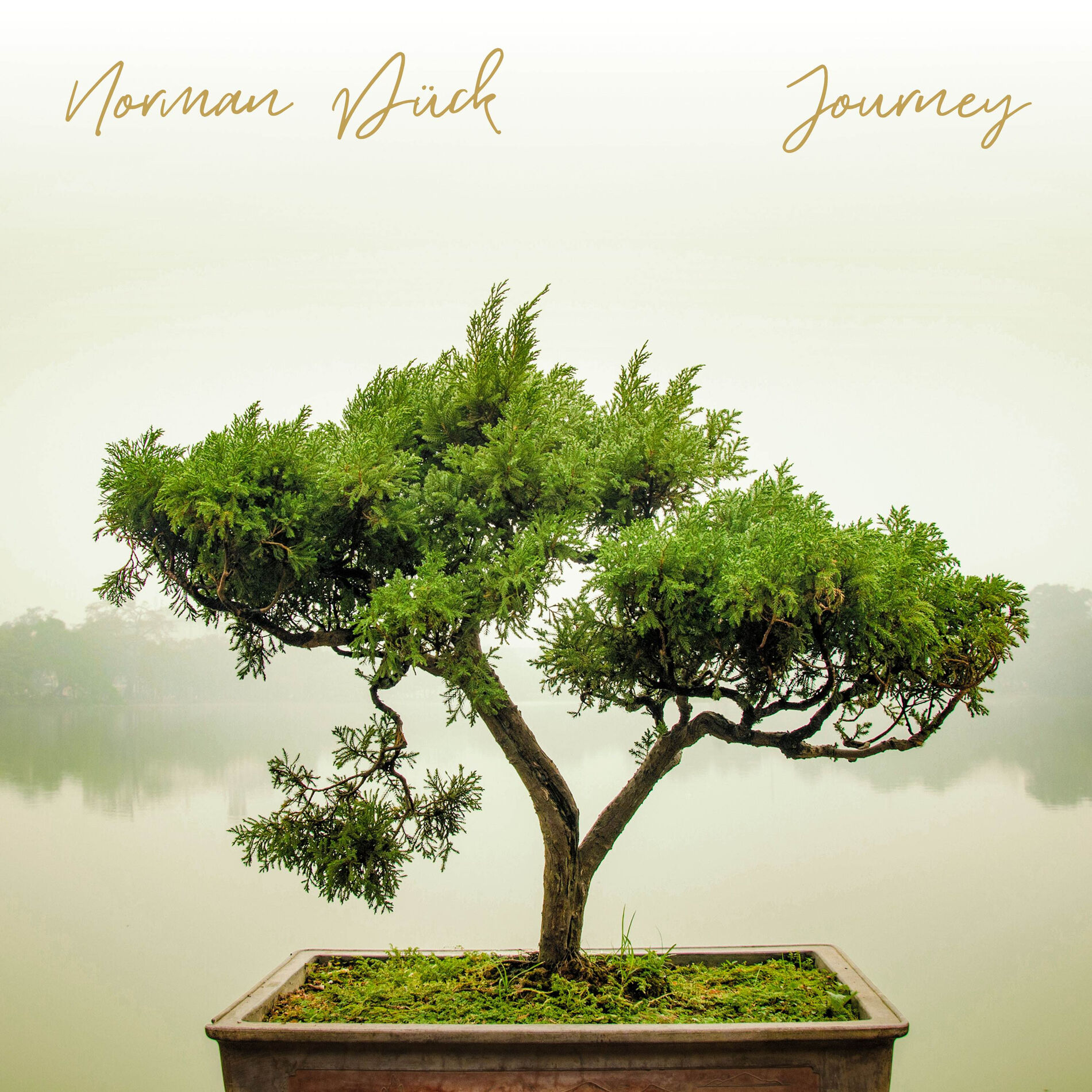 Album cover of Stairway to Heaven