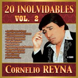Cover of 20 Inolvidables, Vol. 2