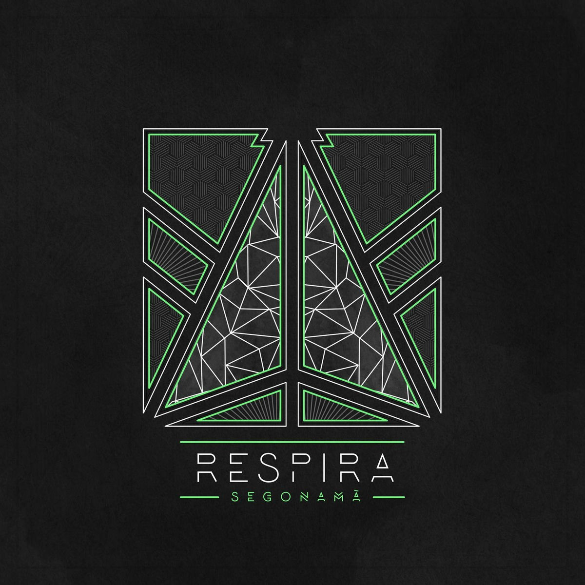 Album cover of Respira