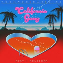 Cover of California Gang
