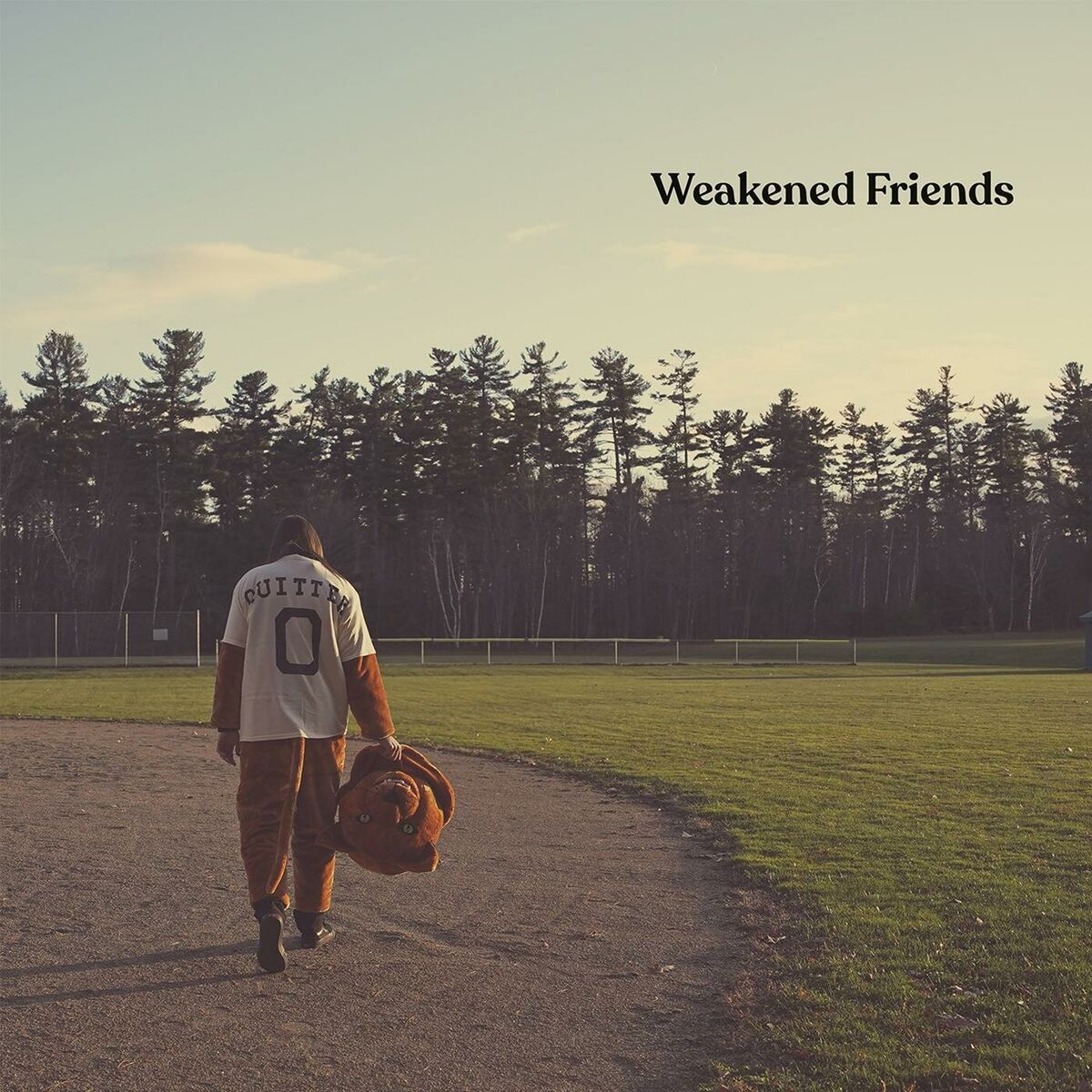 Album cover of Planes
