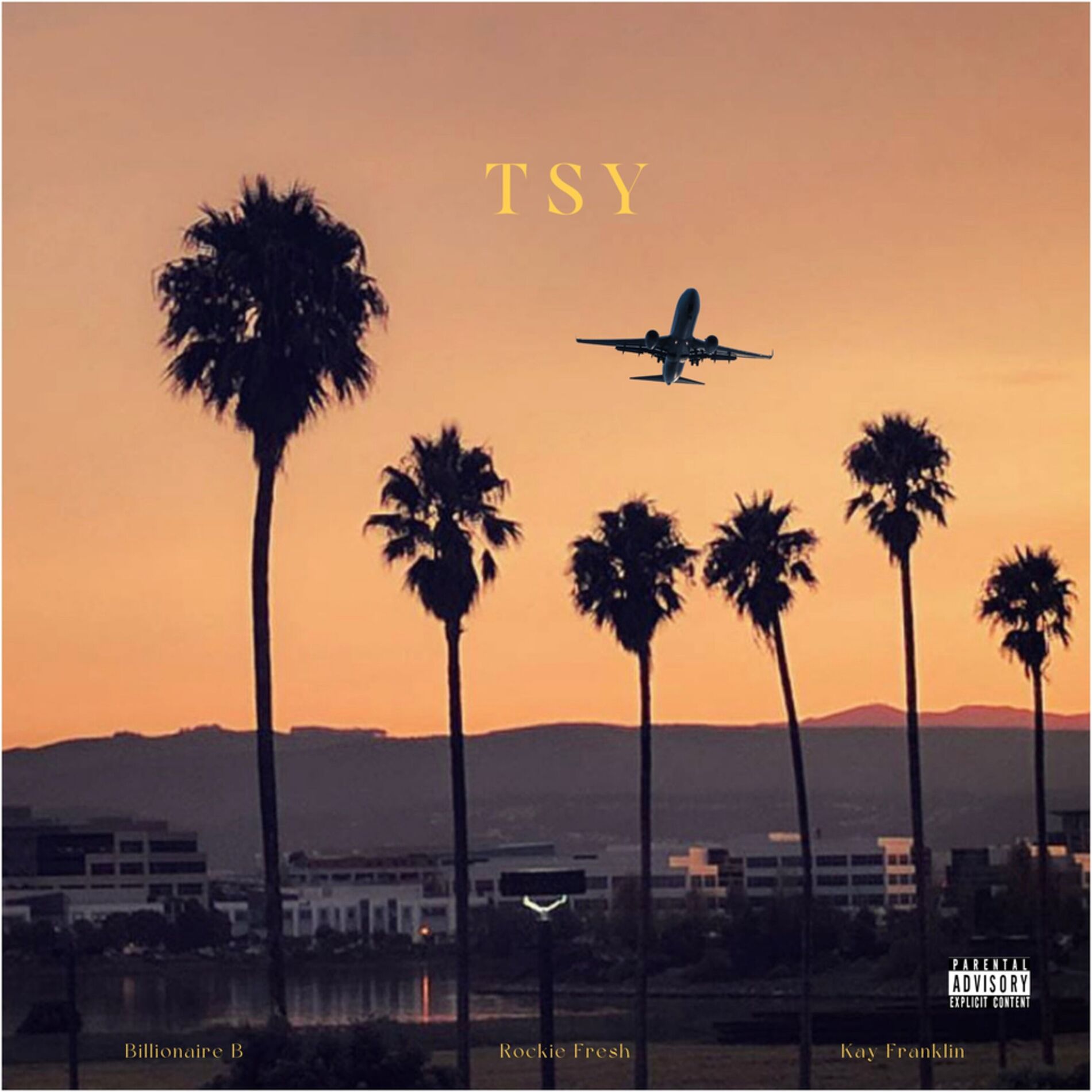 Album cover of TSY