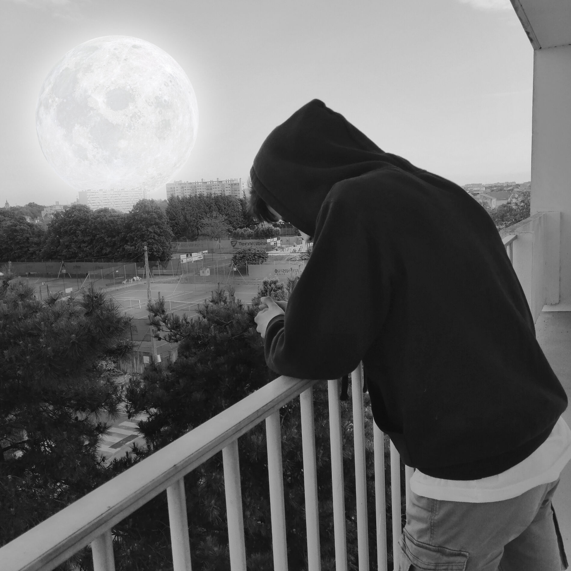 Album cover of Triste Vie