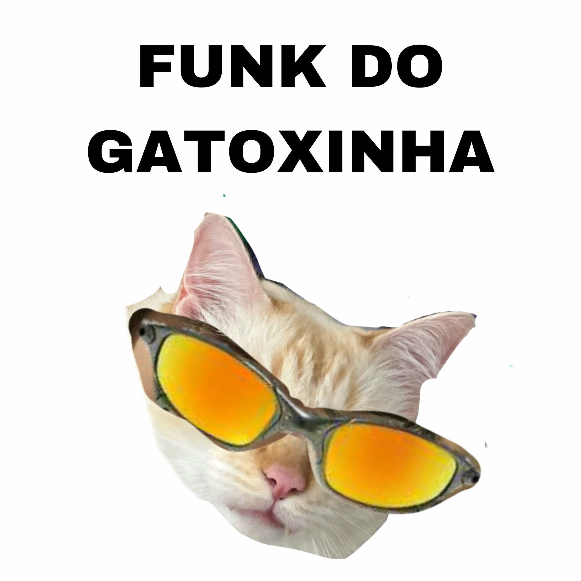 Album cover of Funk do Gato Coxinha