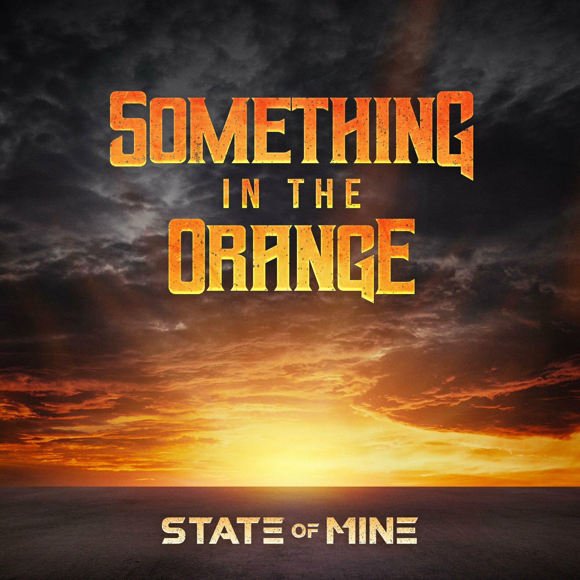 Album cover of Something in the Orange