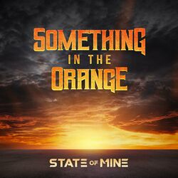 Cover of Something in the Orange