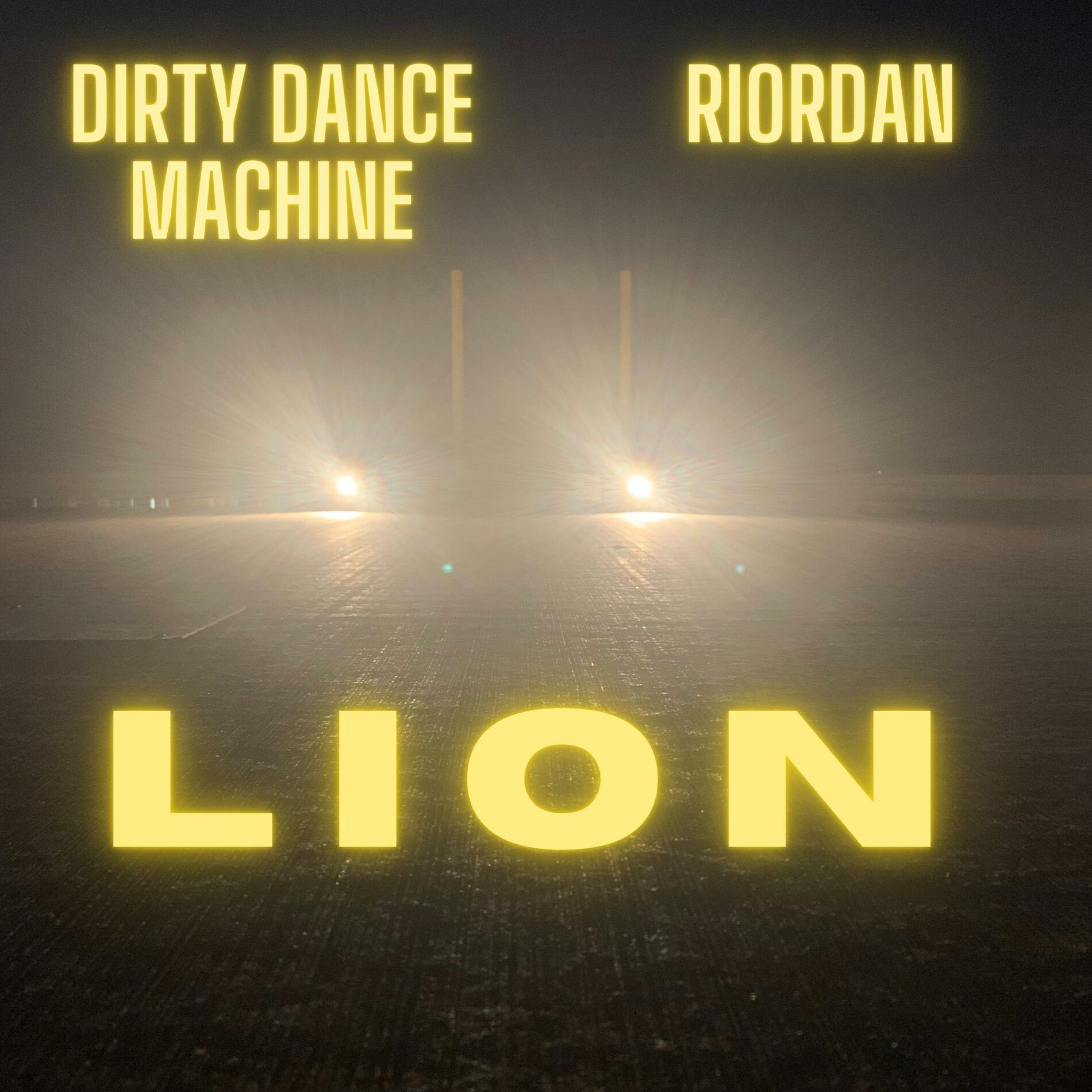 Album cover of Lion (feat. Riordan)
