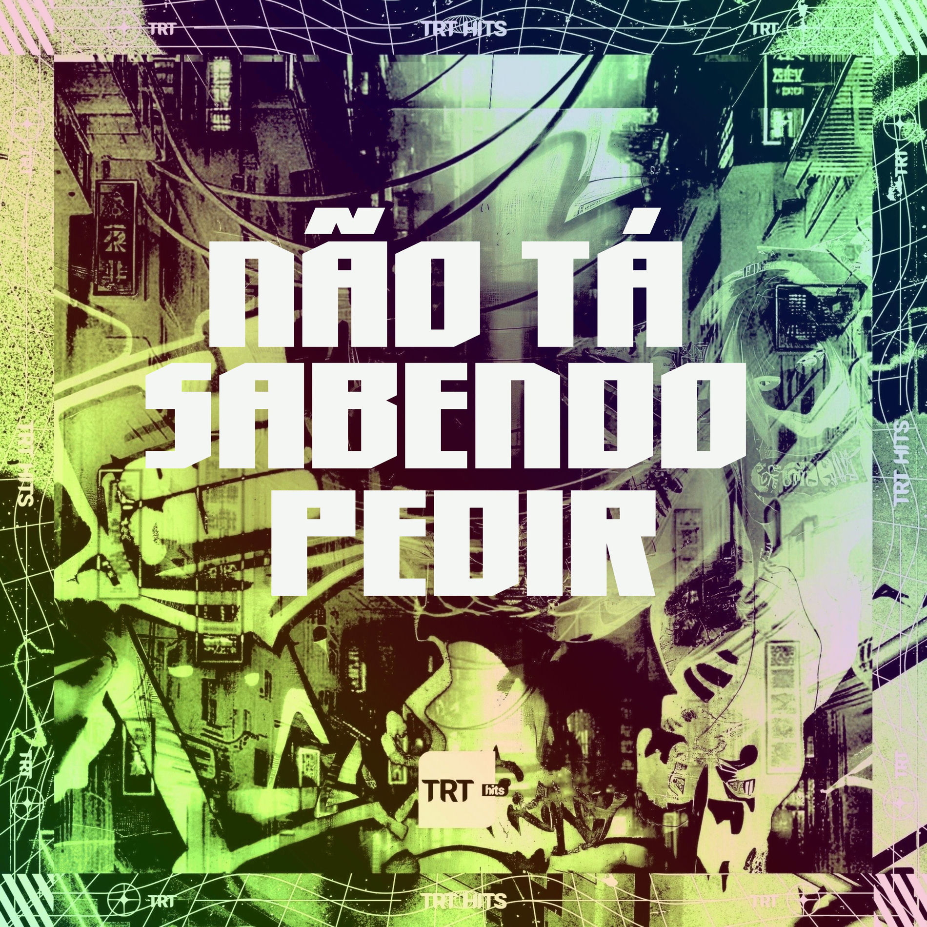 Album cover of NÃO TÁ SABENDO PEDIR