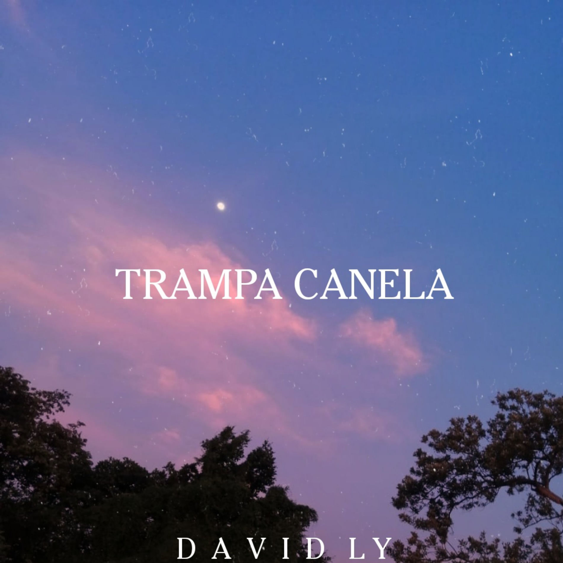 Album cover of Trampa Canela