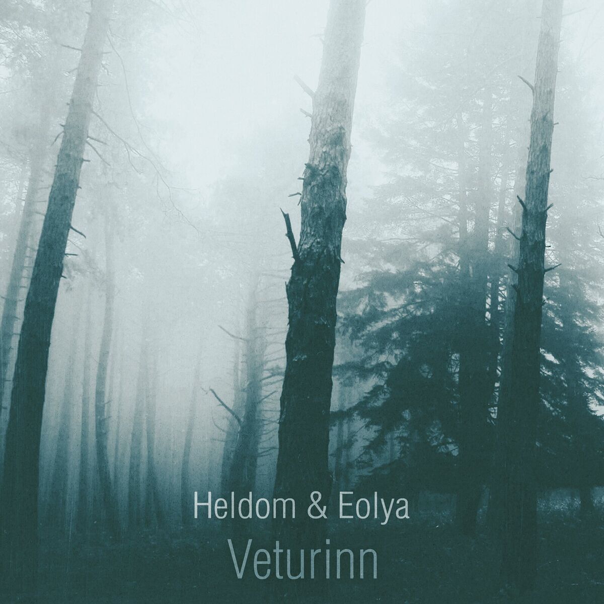 Album cover of Veturinn