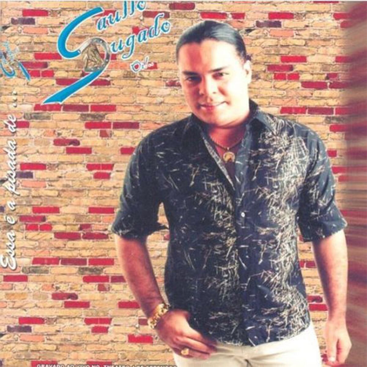 Album cover of Dvd Mancha De Batom Vol. 06