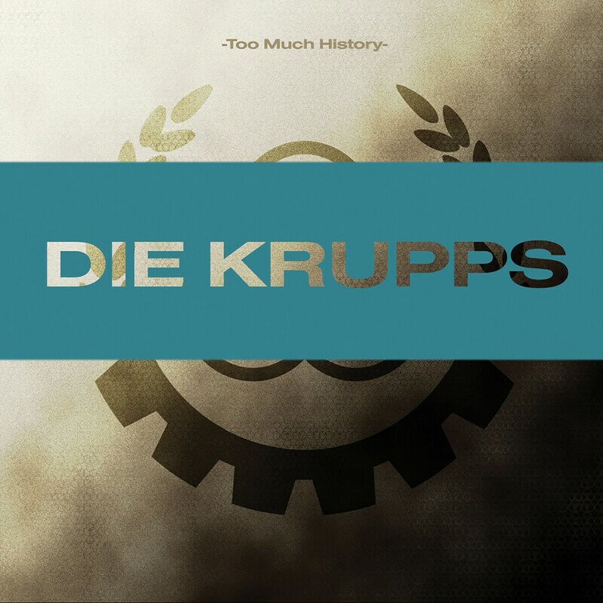 Album cover of Too Much History