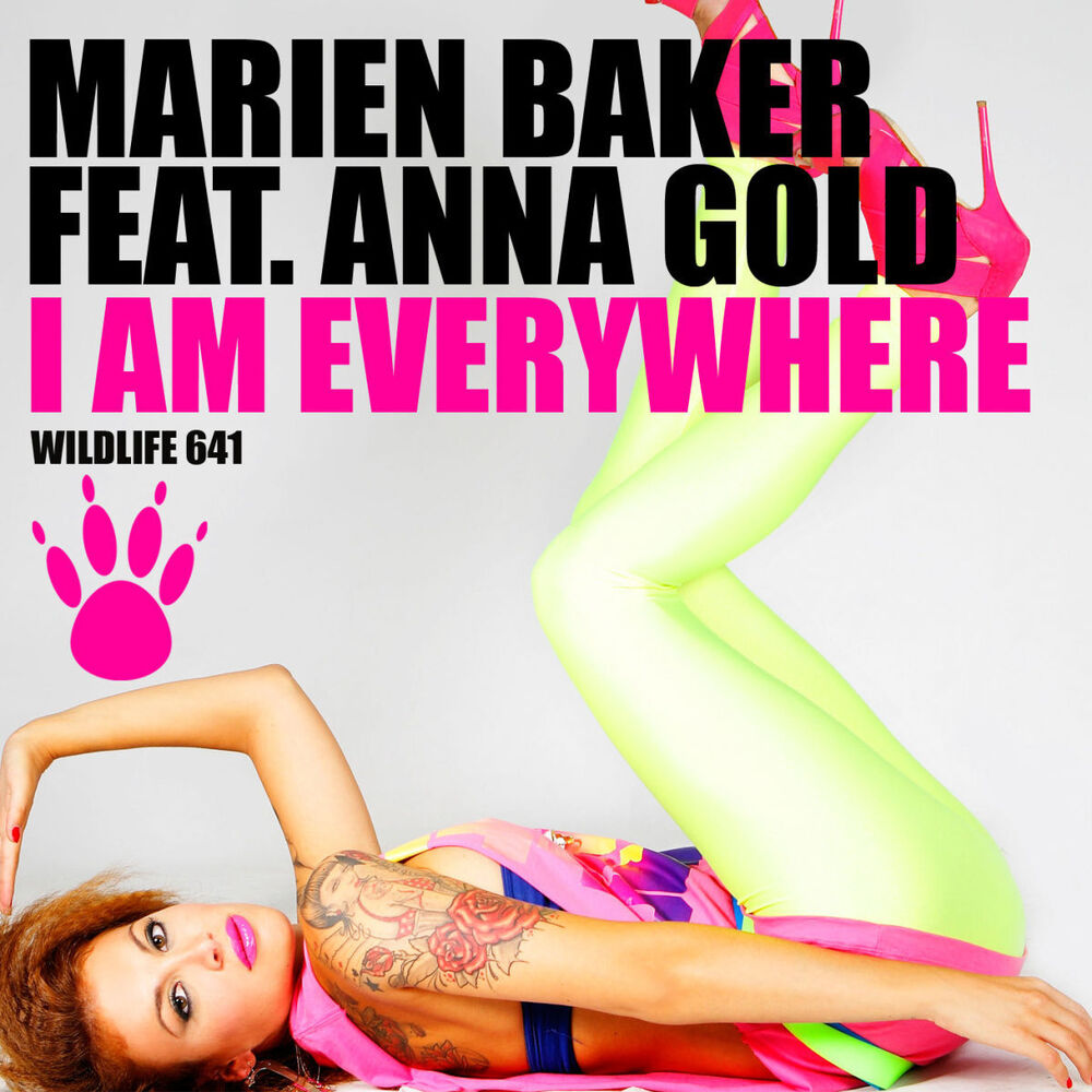 Picture of I Am Everywhere