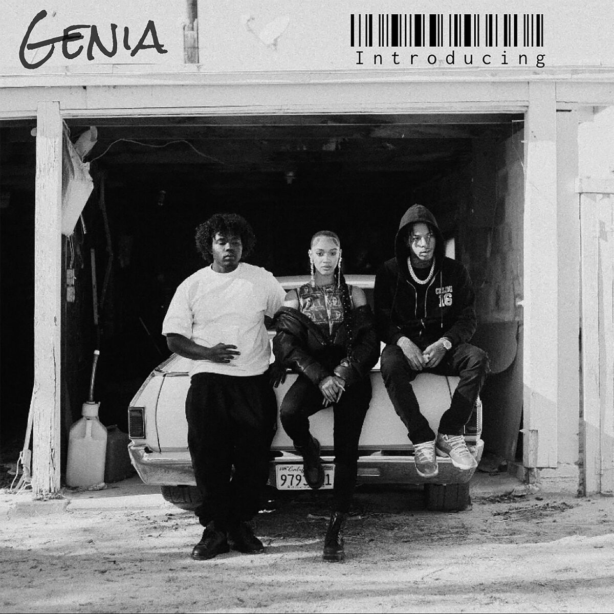Album cover of Introducing