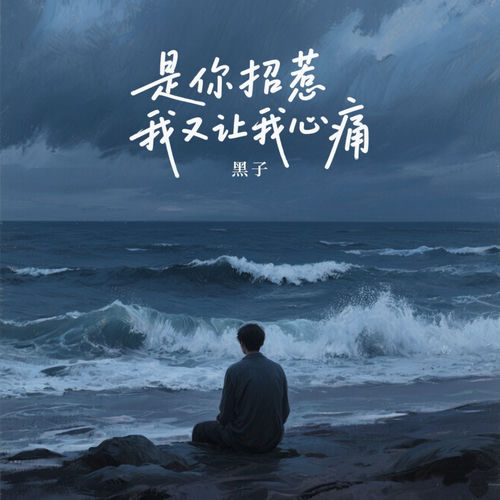 是你招惹我又让我心痛
