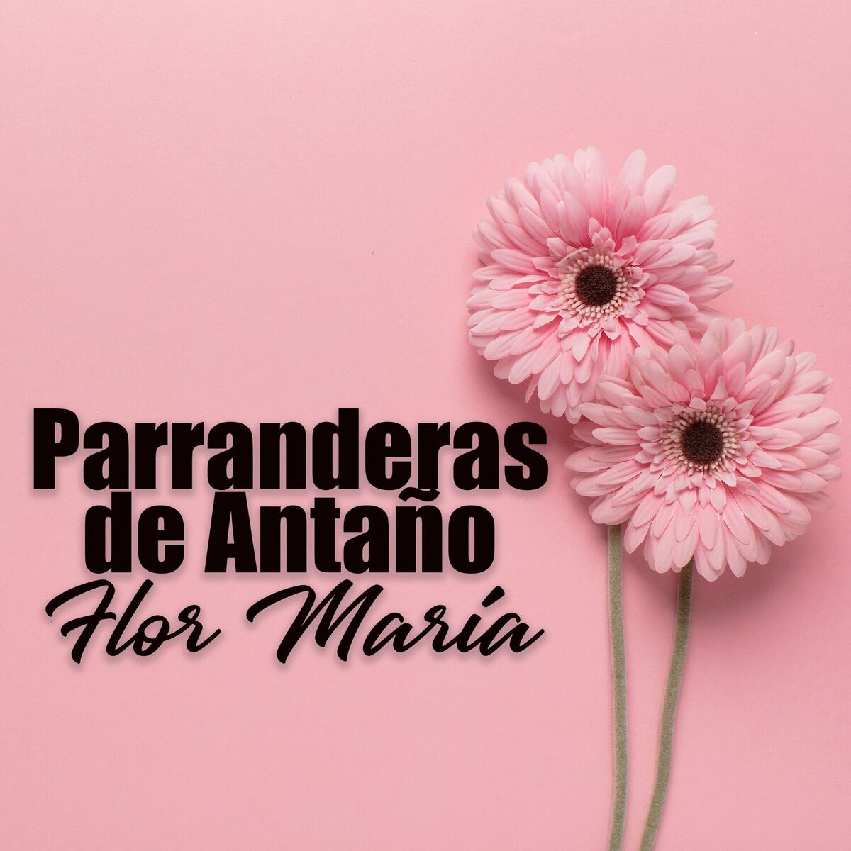 Album cover of Parranderas de Antaño - Flor María