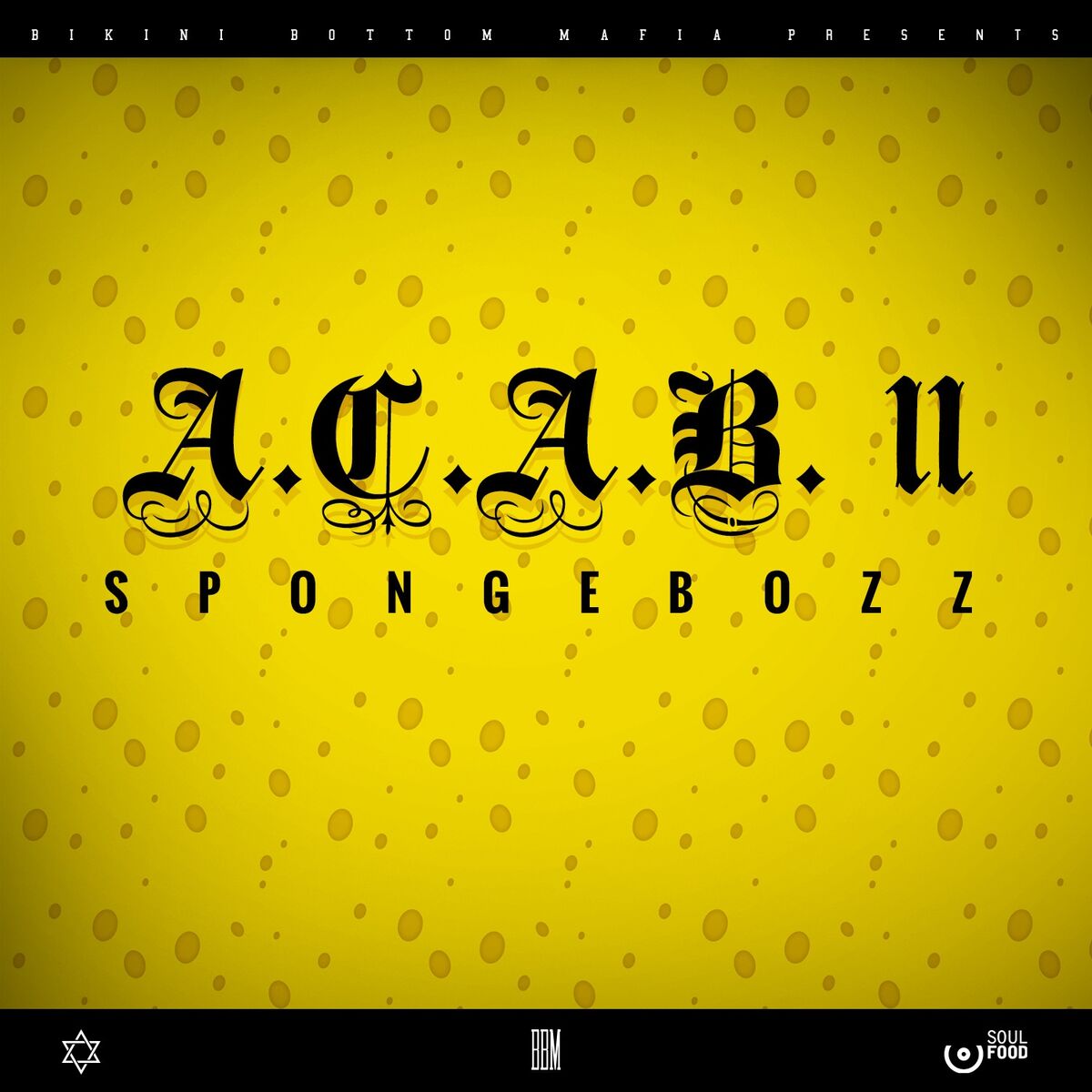 Album cover of A.C.A.B. II