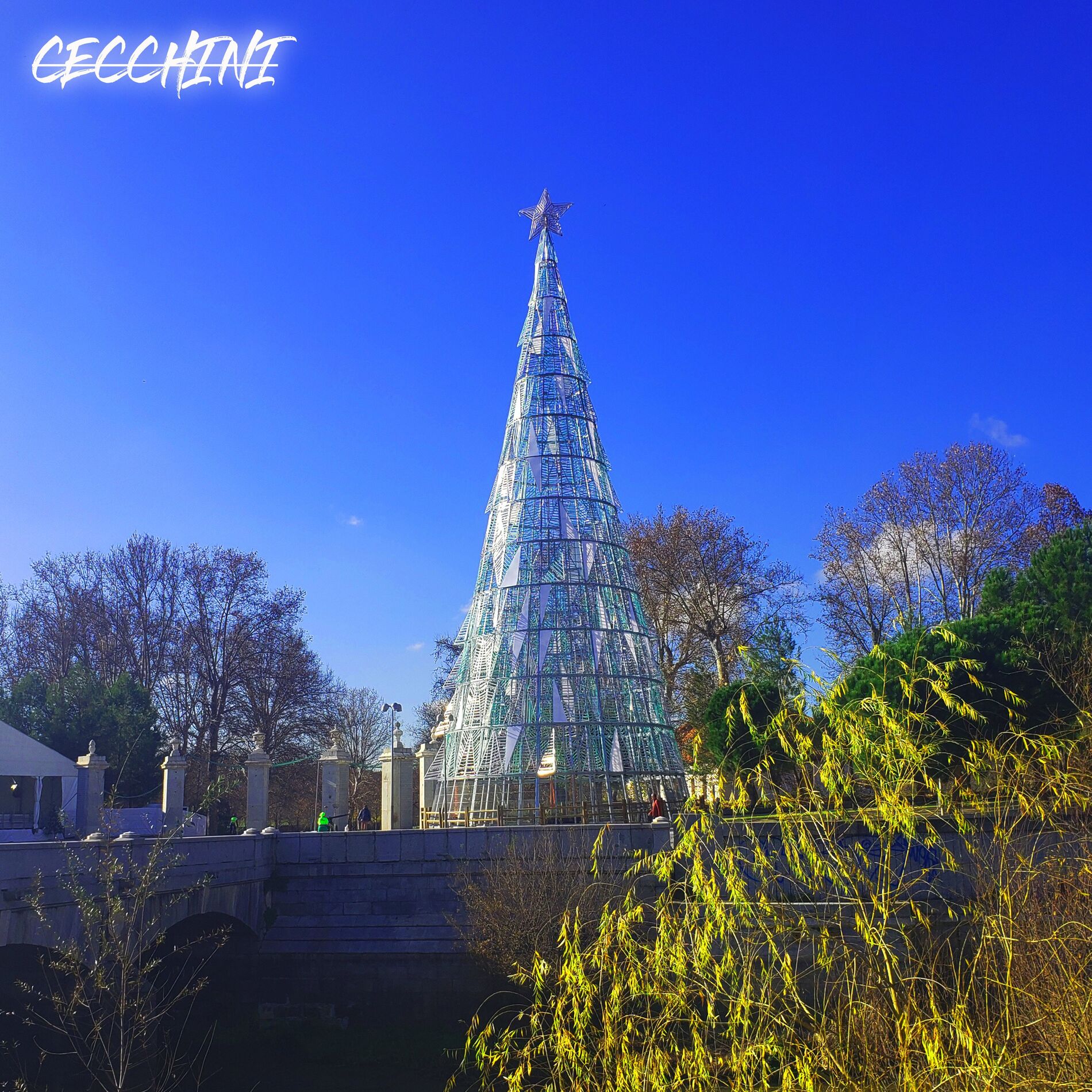 Album cover of Nuevo Año