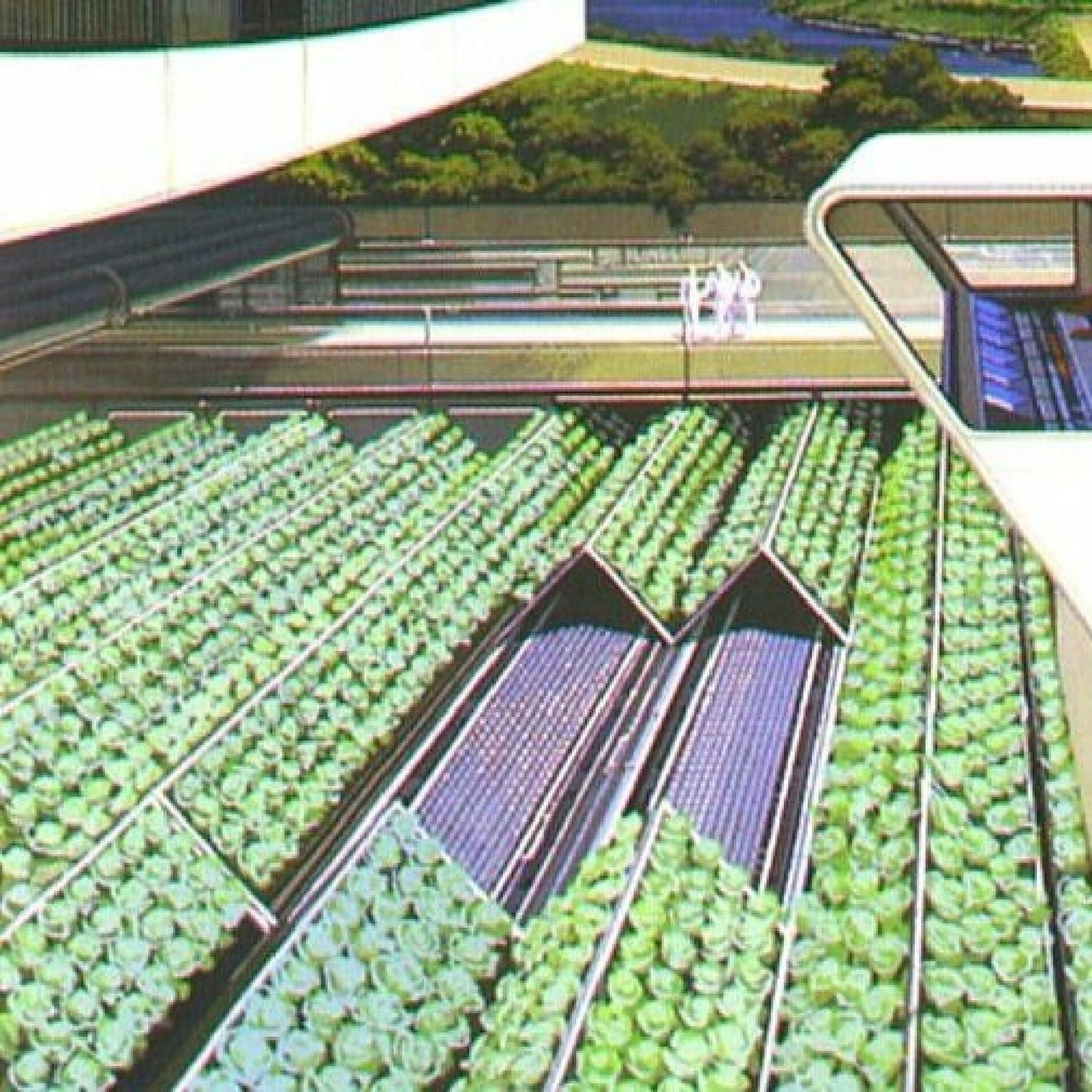Album cover of shiki no uta
