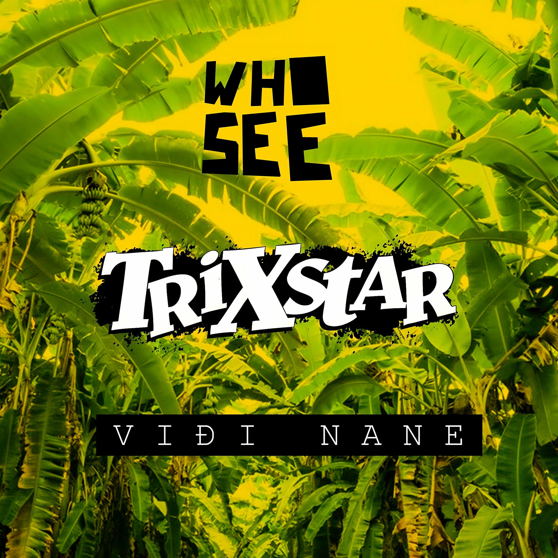 Album cover of Viđi nane