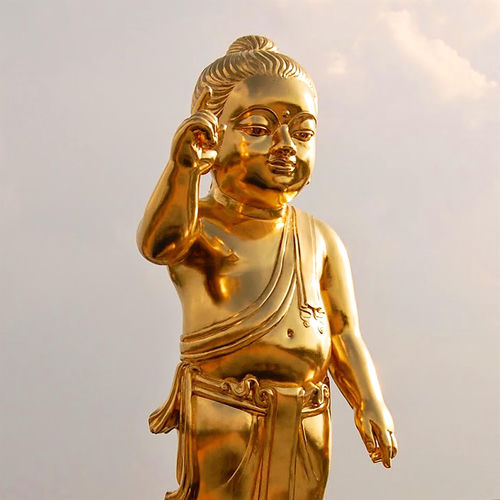 Birth of the Buddha sleeve