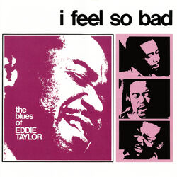 Cover of I Feel So Bad