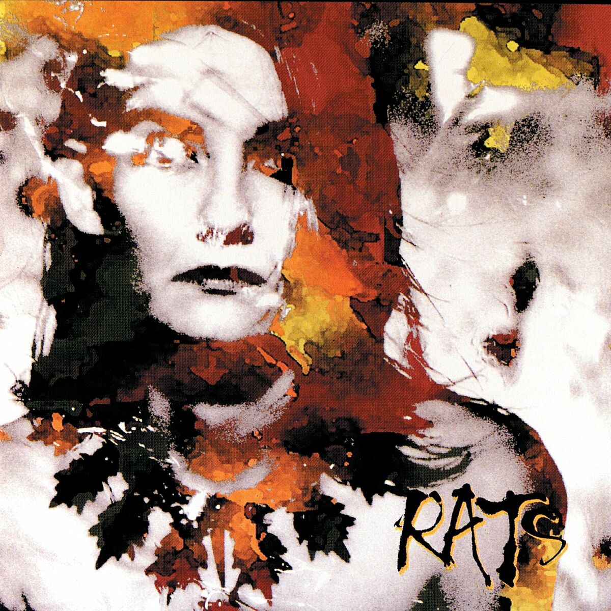 Album cover of Head
