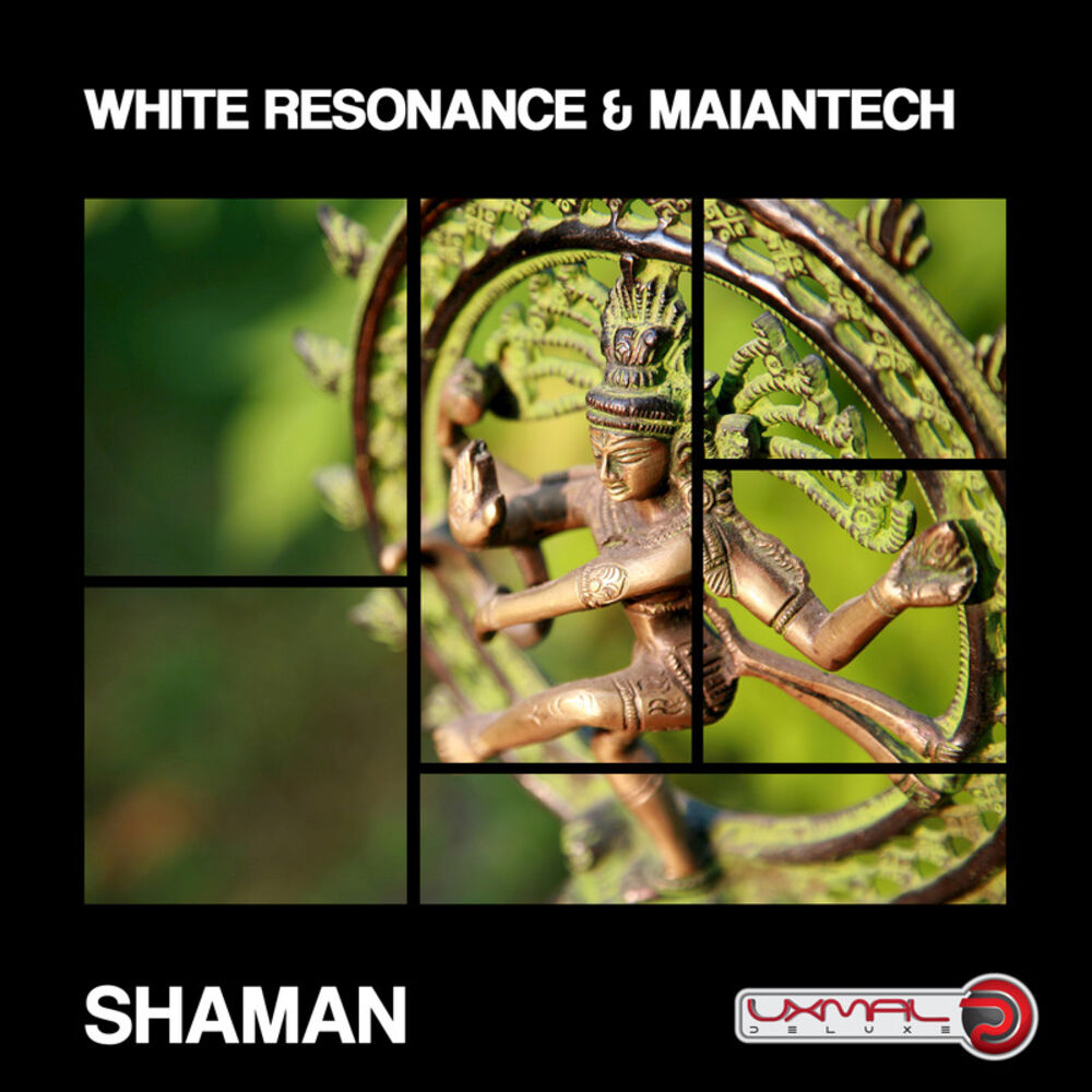 Picture of Shaman