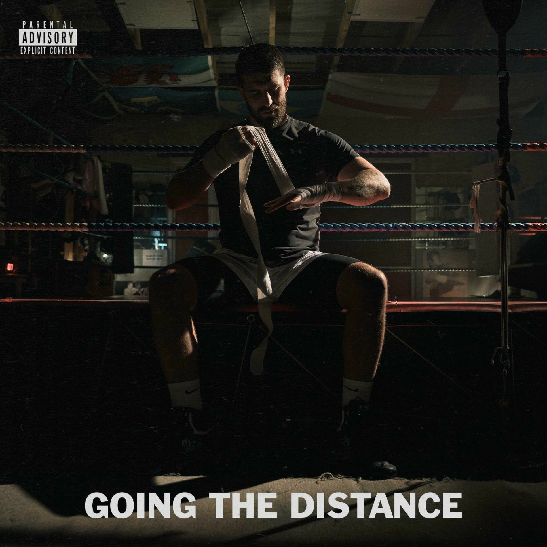 Album cover of GOING THE DISTANCE