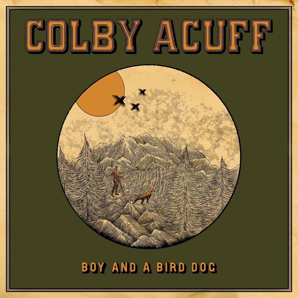 Album cover of Boy and a Bird Dog