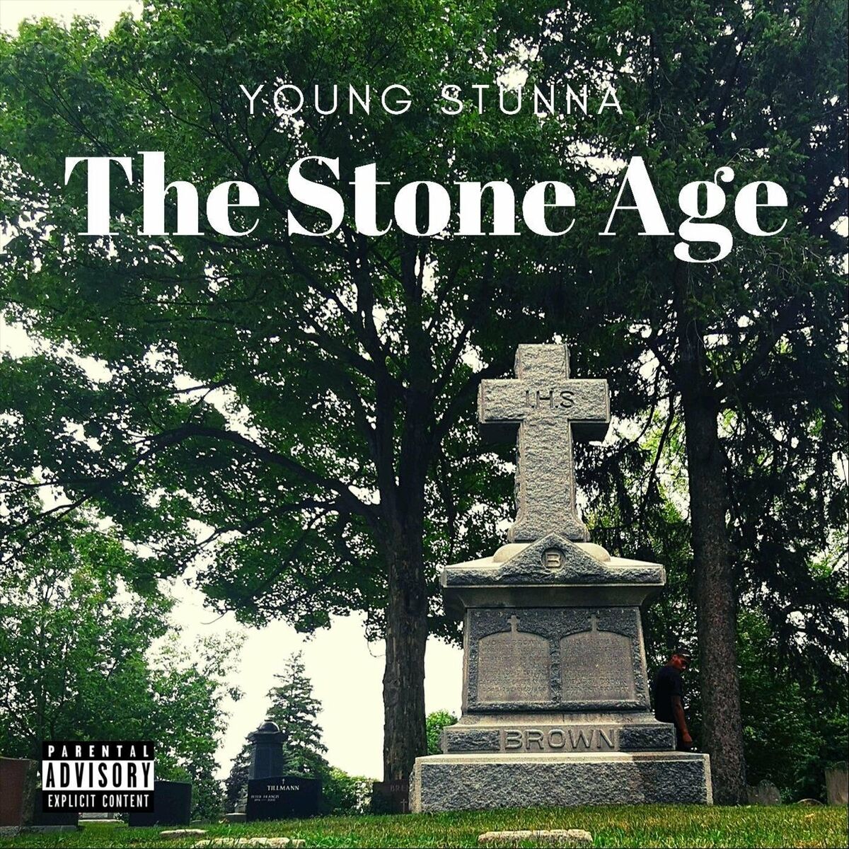 Album cover of The Stone Age