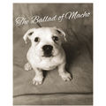 The Ballad Of Macho