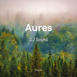 Cover of Aures (Extented Mix)