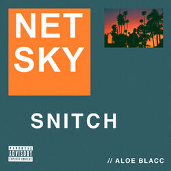 Cover of Snitch