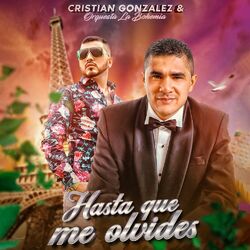 Cover of Hasta Que Me Olvides