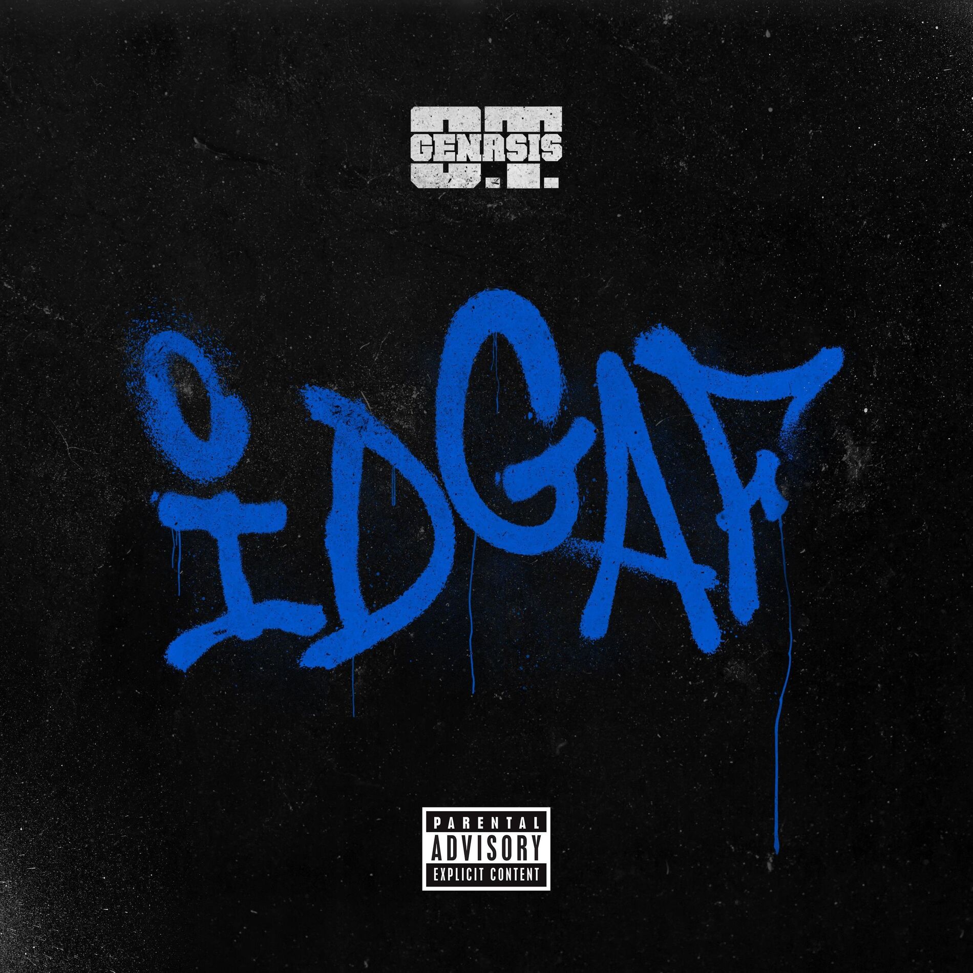 Album cover of IDGAF