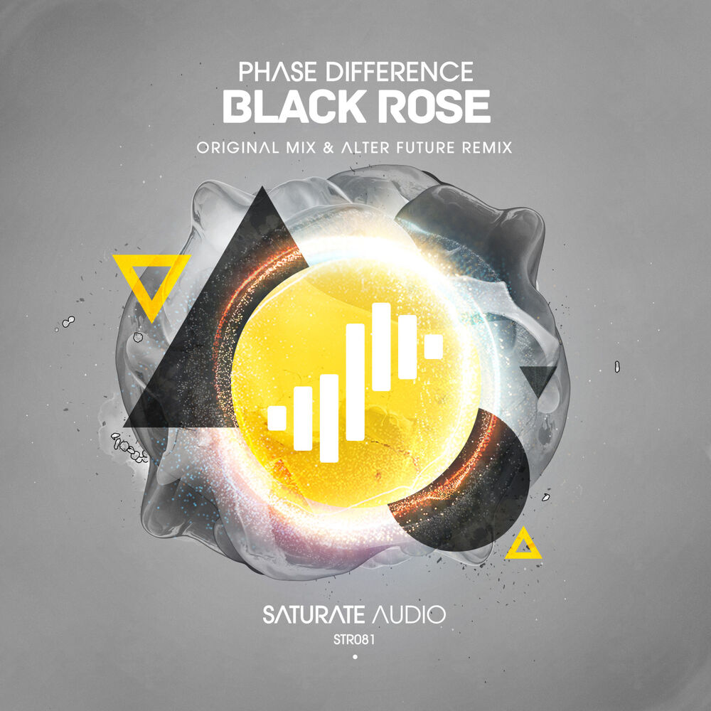 Picture of Black Rose