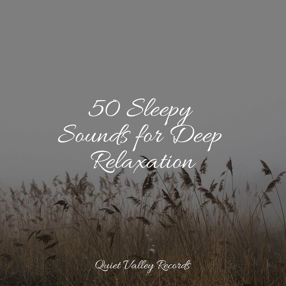 Picture of 50 Sleepy Sounds for Deep Relaxation