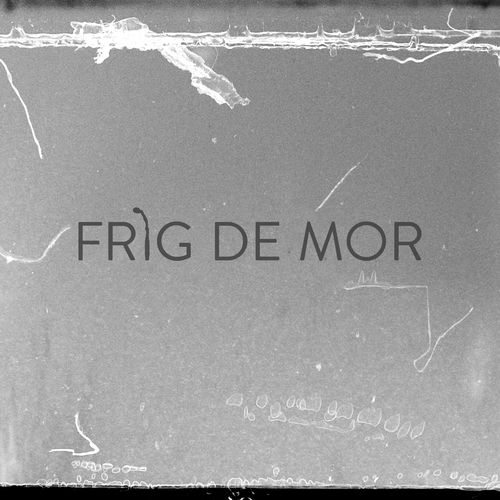 Frig De Mor (feat. Delia) cover art