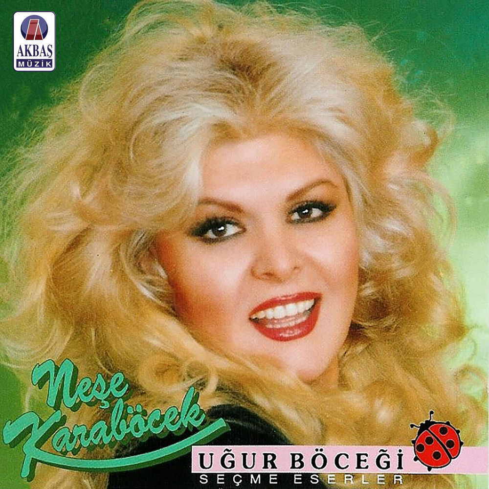 Artık Sevmeyeceğim